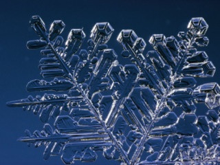 美しい雪の結晶の画像を下さい！