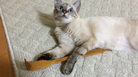 最近ドン引きしたこと