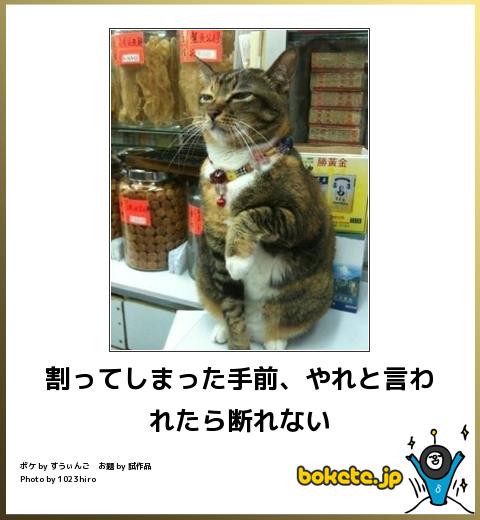 動物関連の「ボケて」貼ってください!