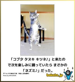 動物関連の「ボケて」貼ってください!