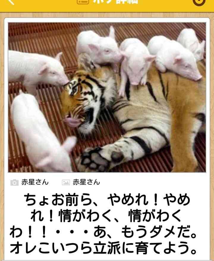 動物関連の「ボケて」貼ってください!