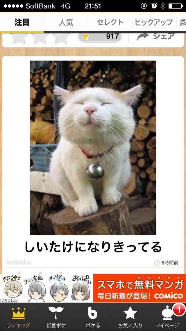 動物関連の「ボケて」貼ってください!