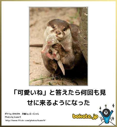 動物関連の「ボケて」貼ってください!