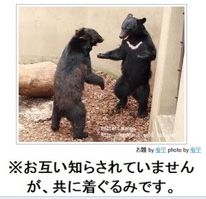 動物関連の「ボケて」貼ってください!