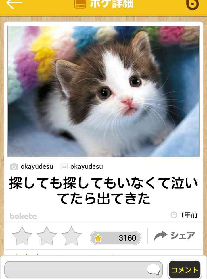 動物関連の「ボケて」貼ってください!