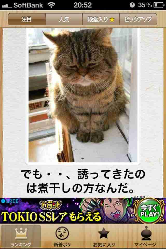 動物関連の「ボケて」貼ってください!
