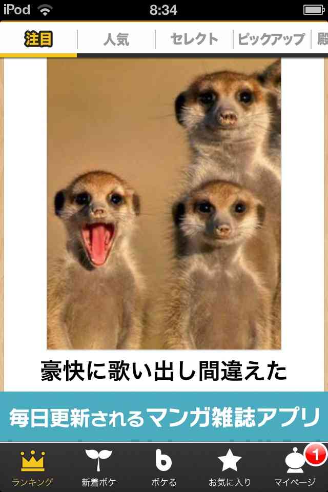 動物関連の「ボケて」貼ってください!