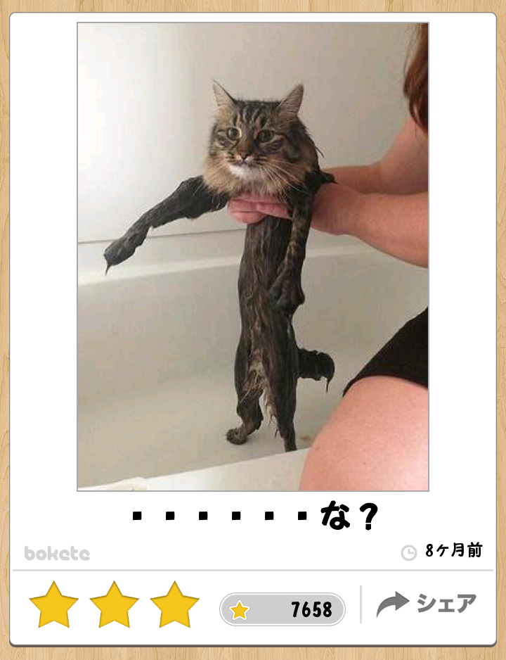 動物関連の「ボケて」貼ってください!
