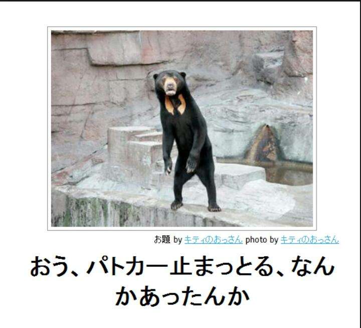動物関連の「ボケて」貼ってください!