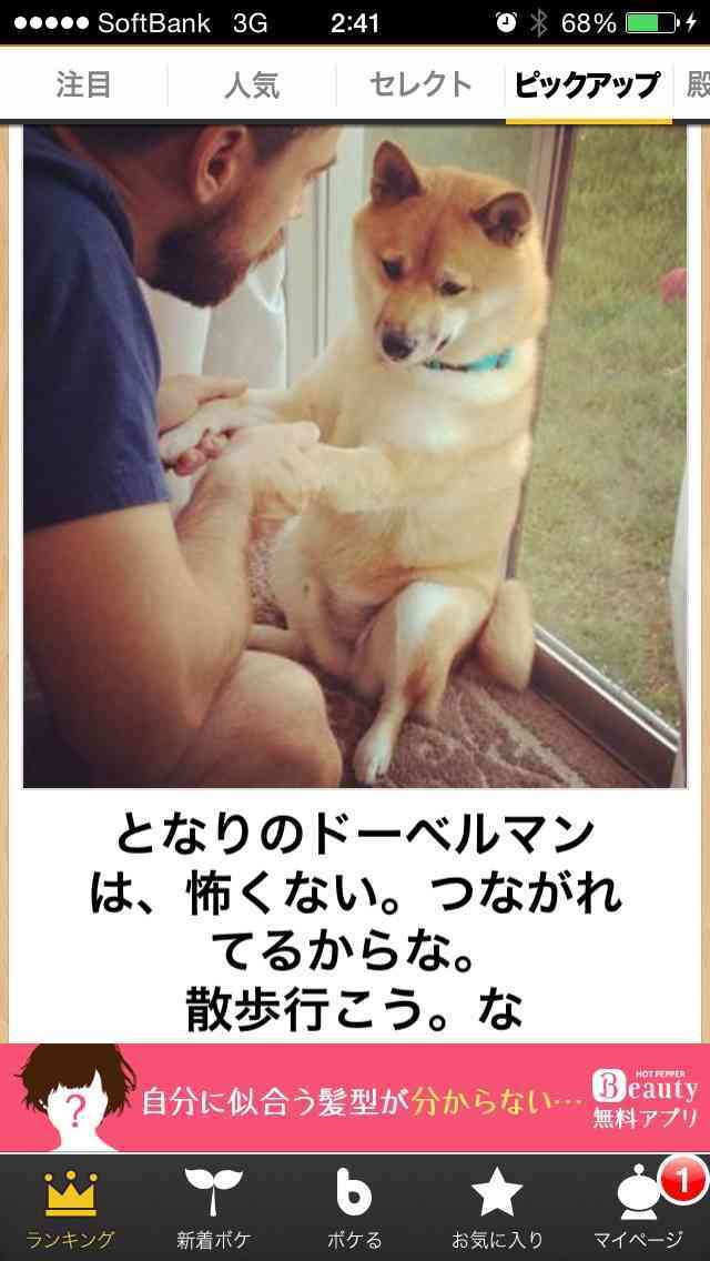 動物関連の「ボケて」貼ってください!