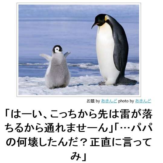 動物関連の「ボケて」貼ってください!
