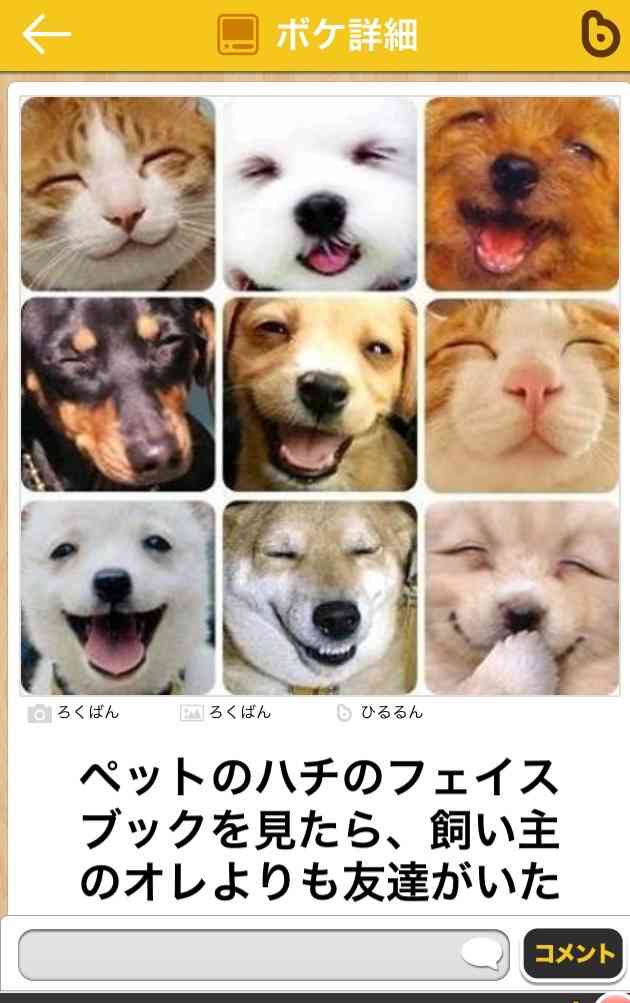 動物関連の「ボケて」貼ってください!