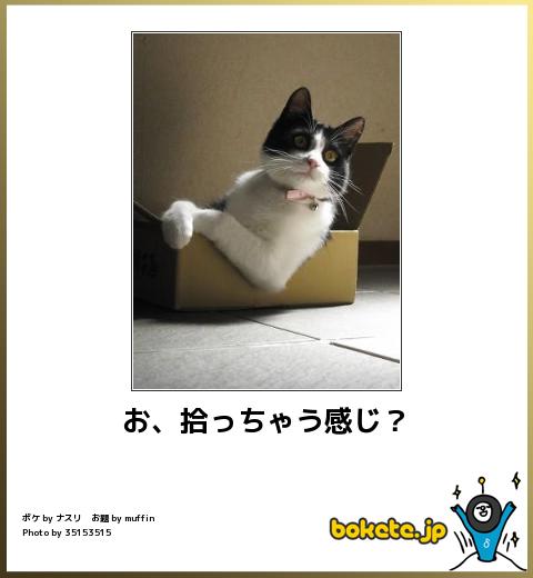動物関連の「ボケて」貼ってください!