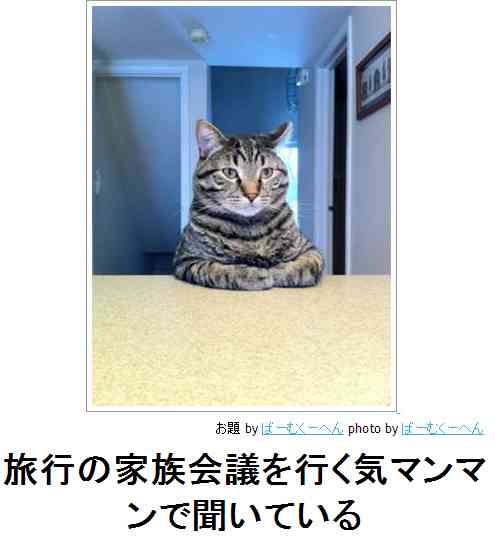 動物関連の「ボケて」貼ってください!