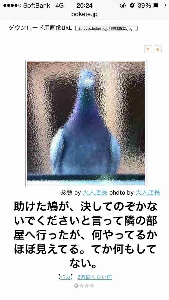 動物関連の「ボケて」貼ってください!