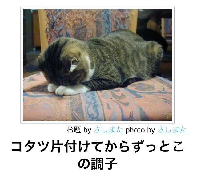 動物関連の「ボケて」貼ってください!