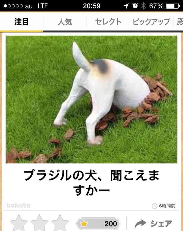 動物関連の「ボケて」貼ってください!