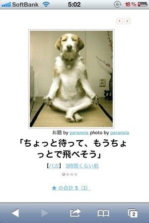 動物関連の「ボケて」貼ってください!