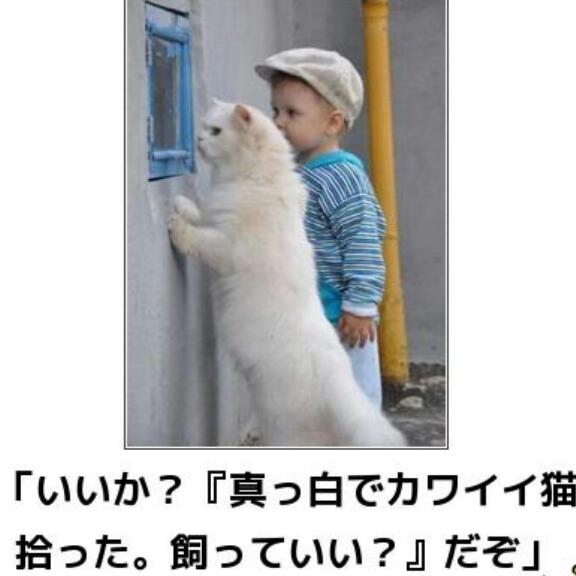 動物関連の「ボケて」貼ってください!
