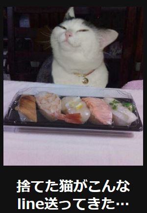 動物関連の「ボケて」貼ってください!