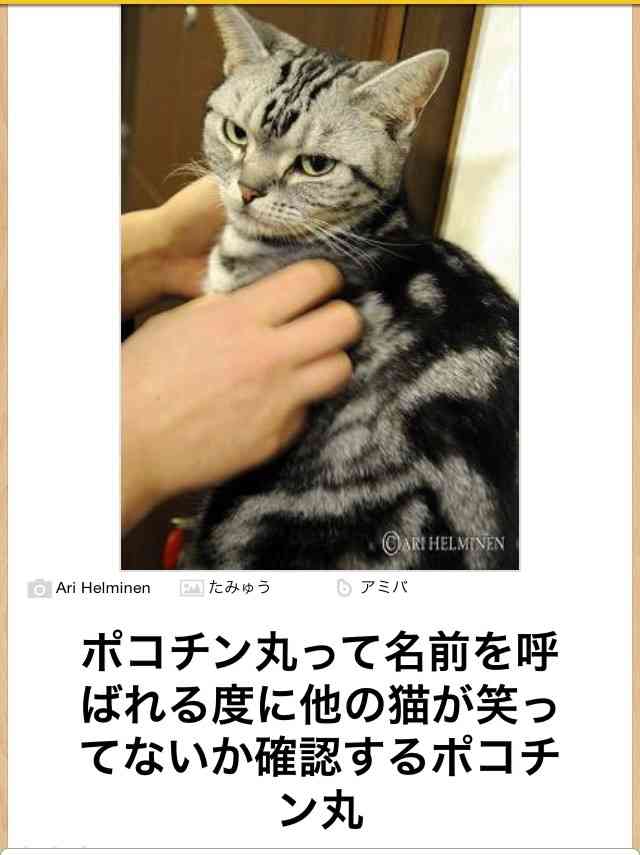 動物関連の「ボケて」貼ってください!