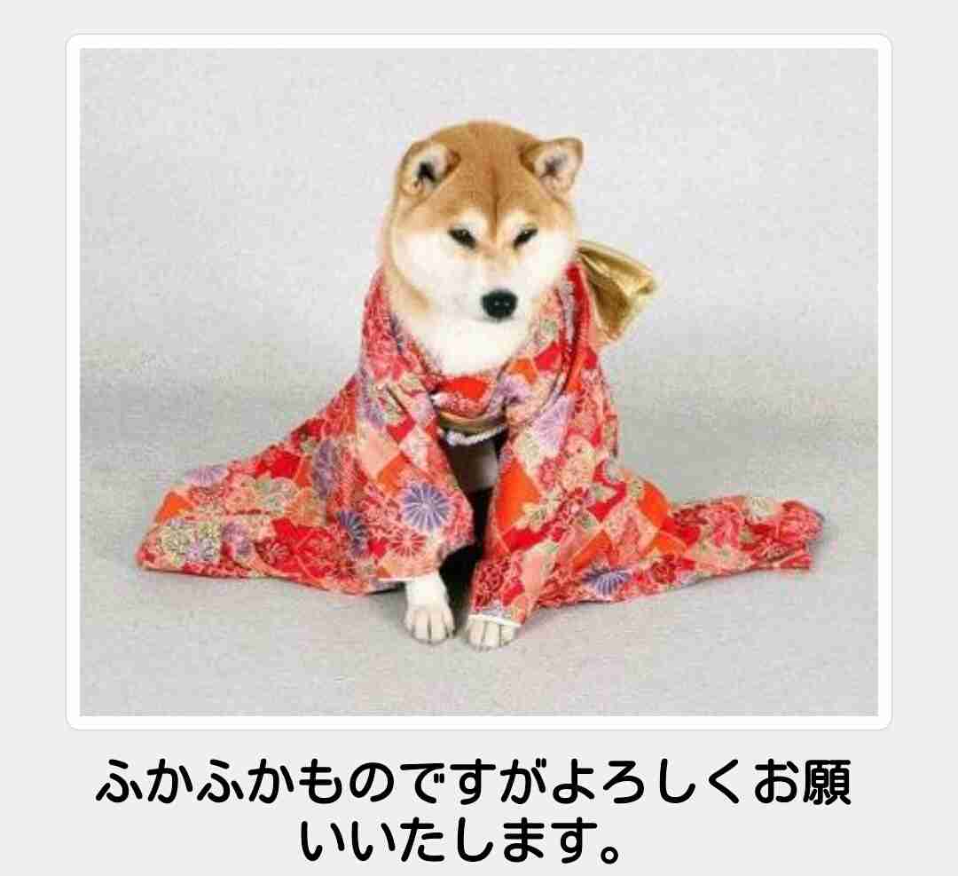 動物関連の「ボケて」貼ってください!