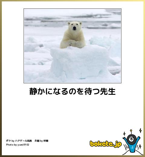 動物関連の「ボケて」貼ってください!