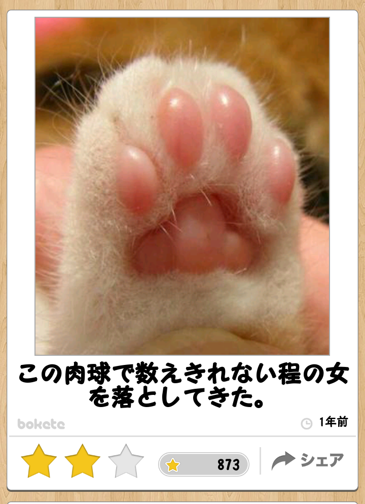 動物関連の「ボケて」貼ってください!