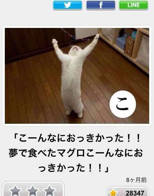 動物関連の「ボケて」貼ってください!