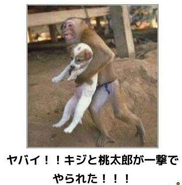 動物関連の「ボケて」貼ってください!