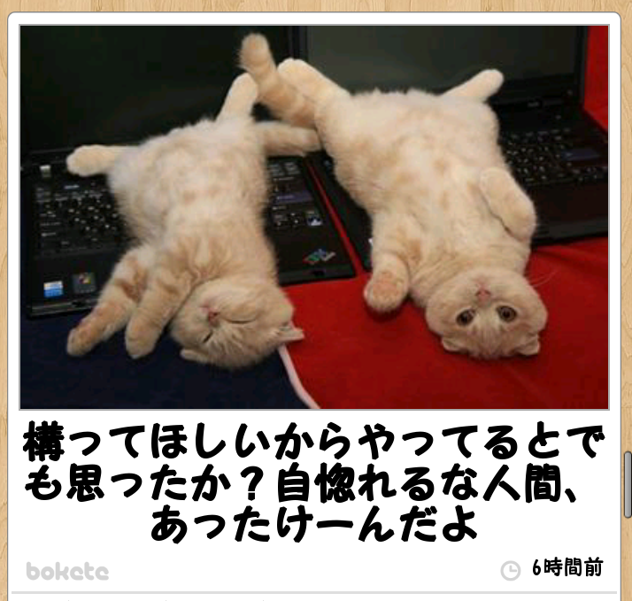 動物関連の「ボケて」貼ってください!