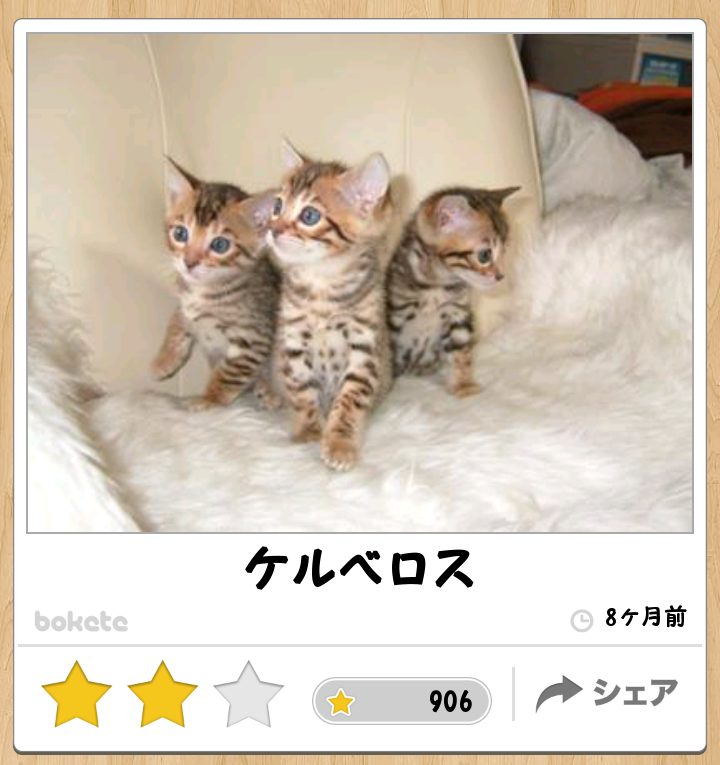 動物関連の「ボケて」貼ってください!