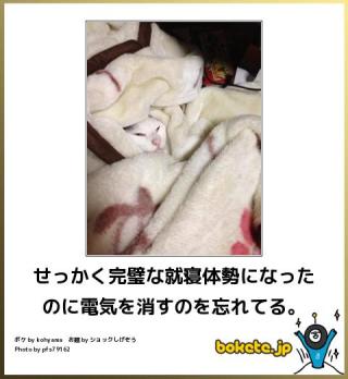 動物関連の「ボケて」貼ってください!