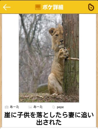動物関連の「ボケて」貼ってください!