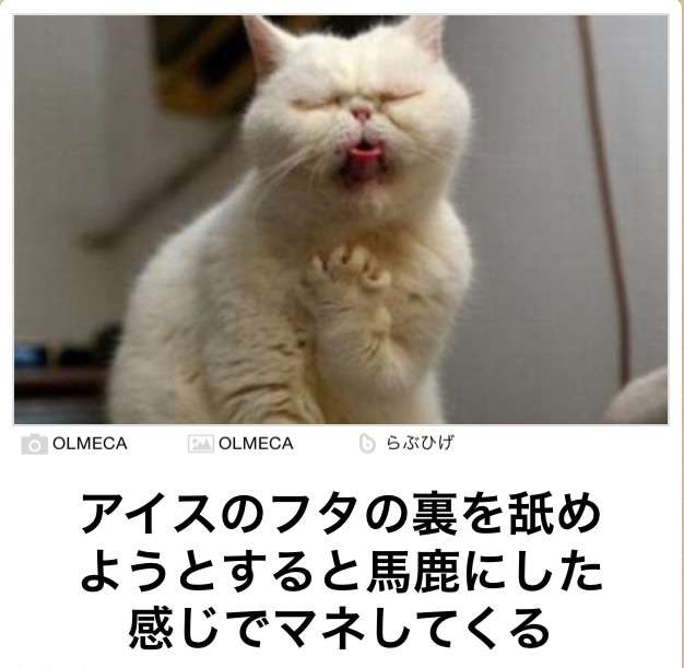 動物関連の「ボケて」貼ってください!