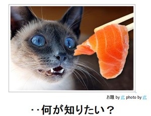 動物関連の「ボケて」貼ってください!