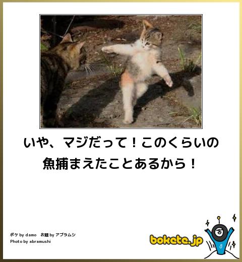 動物関連の「ボケて」貼ってください!