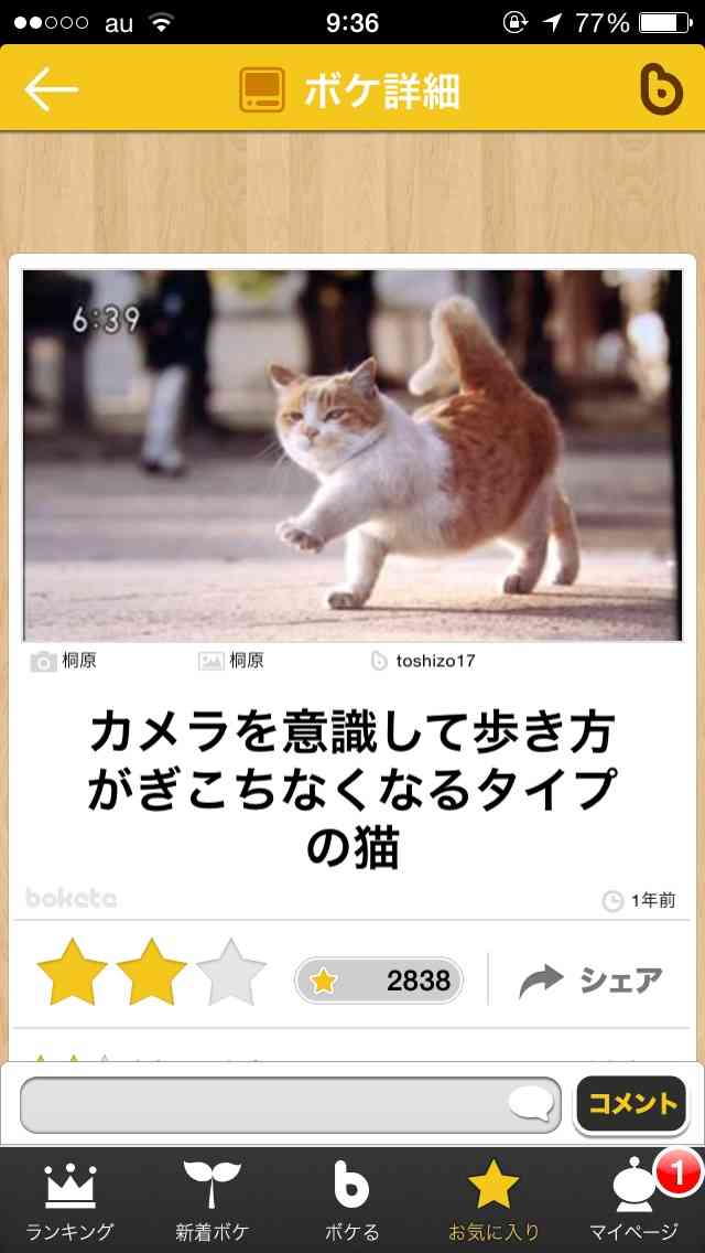 動物関連の「ボケて」貼ってください!