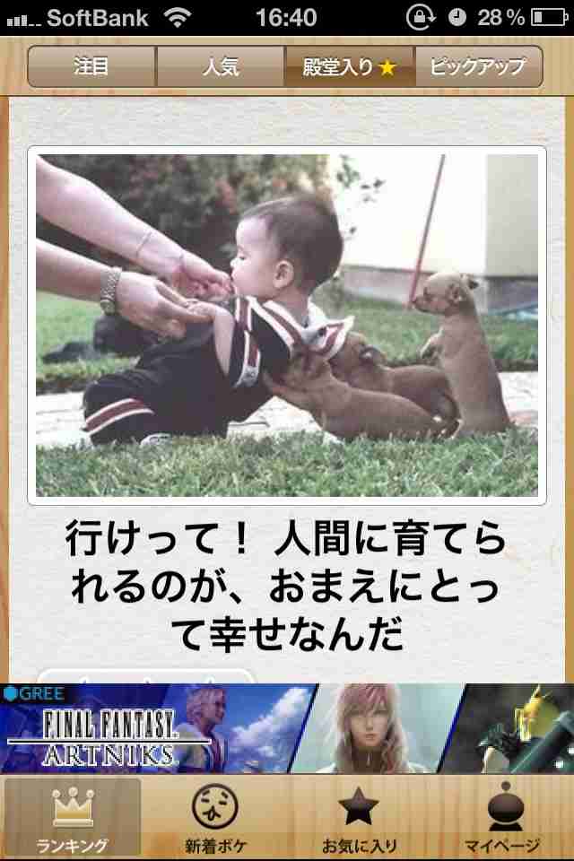 動物関連の「ボケて」貼ってください!