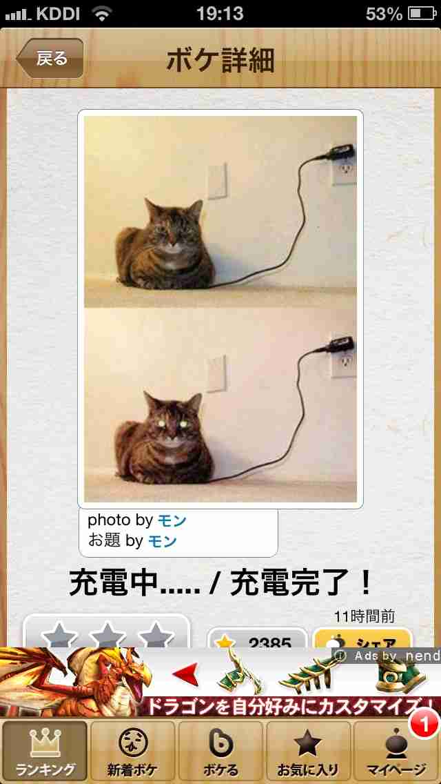 動物関連の「ボケて」貼ってください!