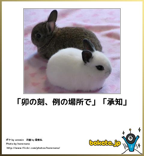 動物関連の「ボケて」貼ってください!