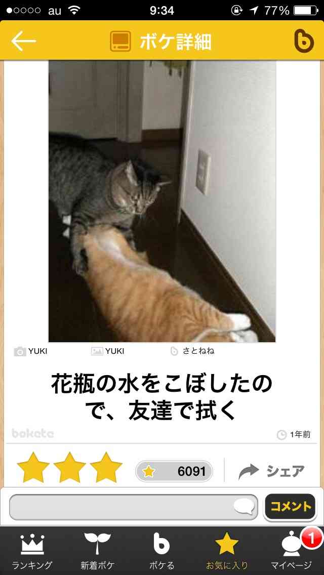 動物関連の「ボケて」貼ってください!