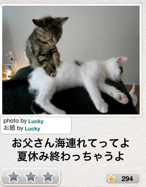 動物関連の「ボケて」貼ってください!