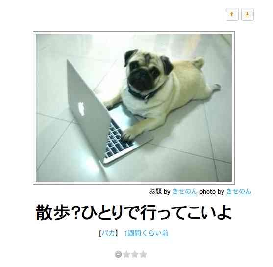 動物関連の「ボケて」貼ってください!