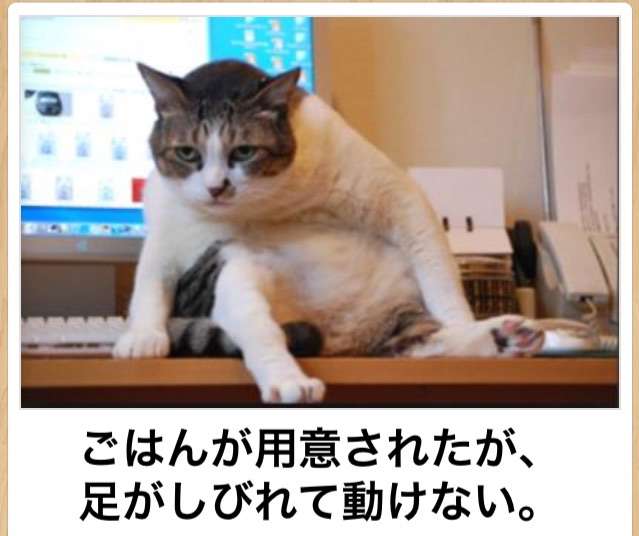 動物関連の「ボケて」貼ってください!