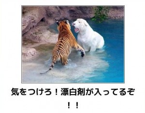 動物関連の「ボケて」貼ってください!