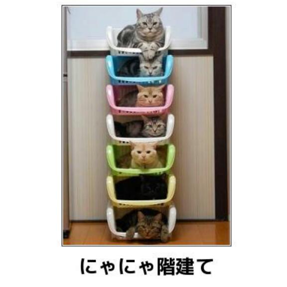 動物関連の「ボケて」貼ってください!