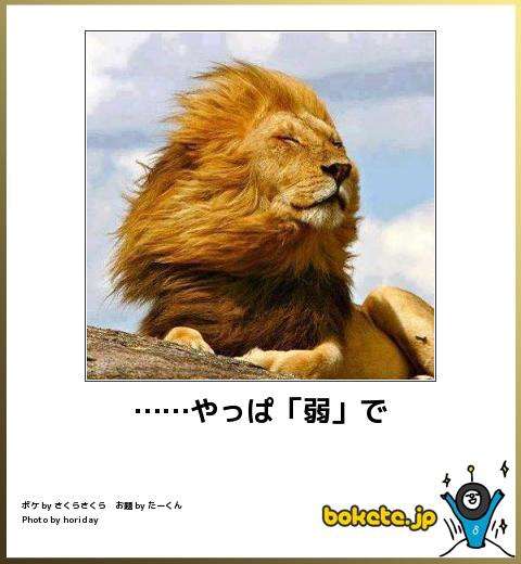 動物関連の「ボケて」貼ってください!