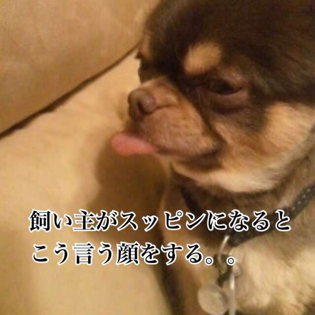 動物関連の「ボケて」貼ってください!