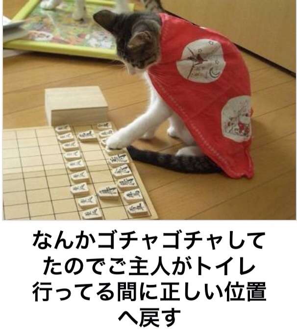 動物関連の「ボケて」貼ってください!